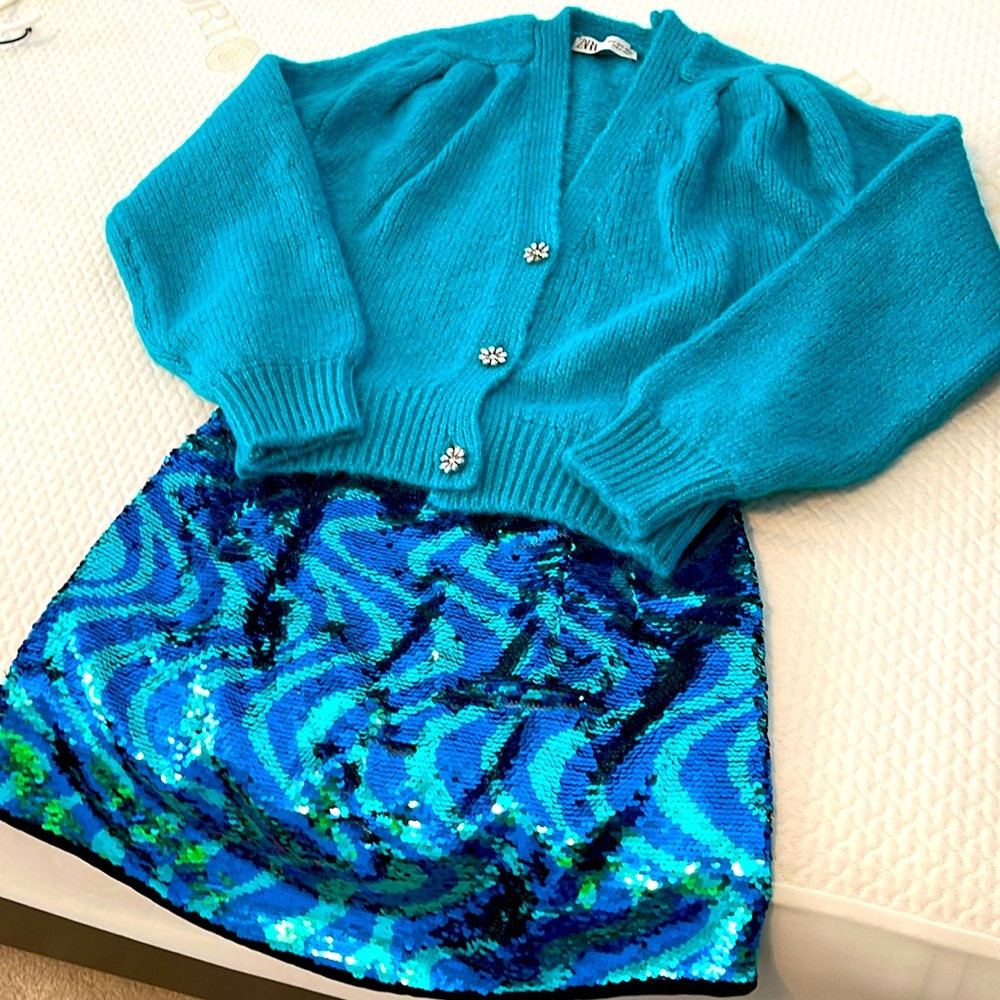 Zara skirt and sweater brand new!